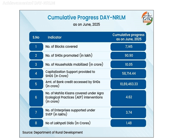 DAY NRLM Progress Chart
