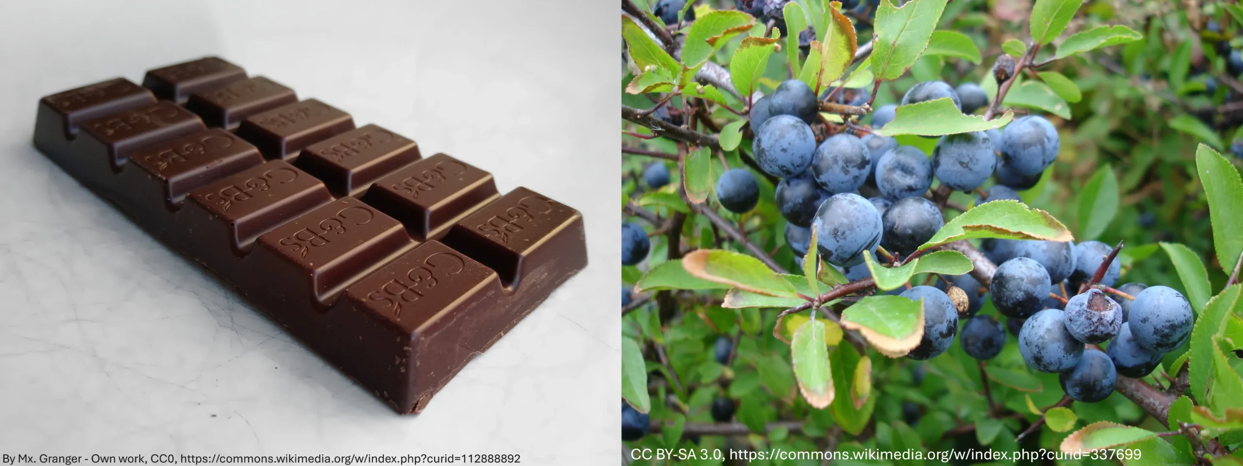 Dark Chocolate and Berries