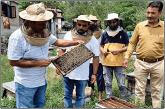 National Beekeeping & Honey Mission